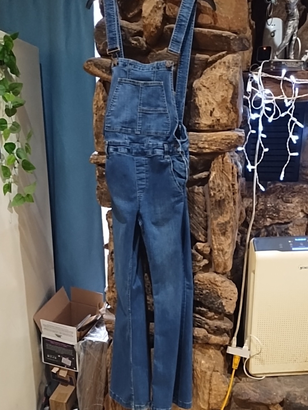 We The Free Blue Jean Flared Leg Overalls